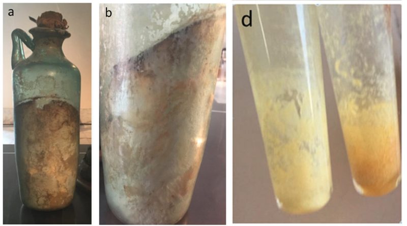 La bottiglia dell'olio diventa un oggetto da collezionare e